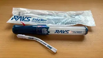 SnowMan Dome Tour 2024 RAYS 응원봉