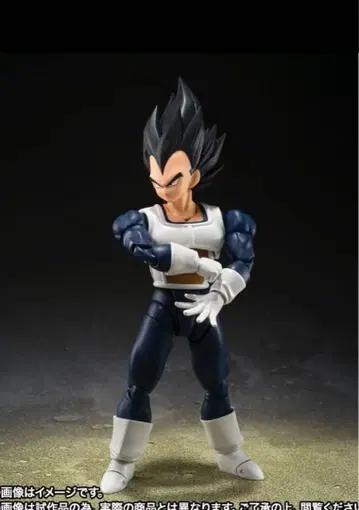 S.H.Figuarts 베지터 구 전투복