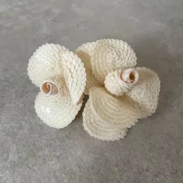 새상품급 [레어] VENDOME BOUTIQUE 코사지 세레모니