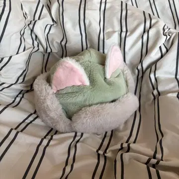 젤라토니 팬캡 모자