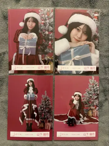 사쿠라자카46 2025년 산타 의상 야마시타 시즈키 4종 컴플리트