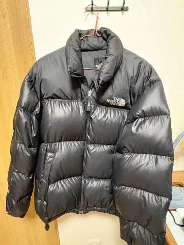 THE NORTH FACE 눕시 M