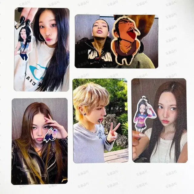 올데이프로젝트 네모즈샵 미공포 포카 일괄 양도 올데프 네모즈 앨범