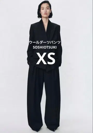 [ XS ] 울 다트 팬츠 SOSHIOTSUKI ZARA