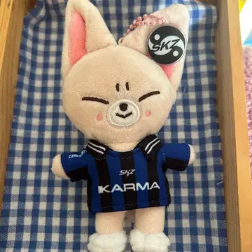 StrayKids KARMA SKZOO 키링 폭시니 아이엔