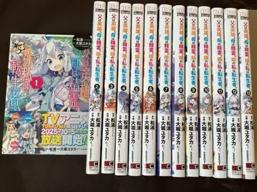 아버지는 영웅, 어머니는 정령, 딸인 나는 전생자 1~13권 전권 세트