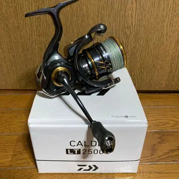 DAIWA 21CALDIA LT2500S