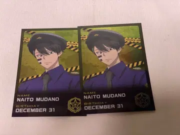 도원암귀 폴리스 무타노 무진 사진 카드