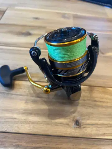 DAIWA REVROS LT4000-CH