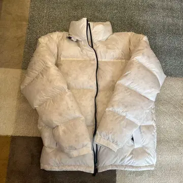 THE NORTH FACE 다운 자켓 L 사이즈 UNDYED