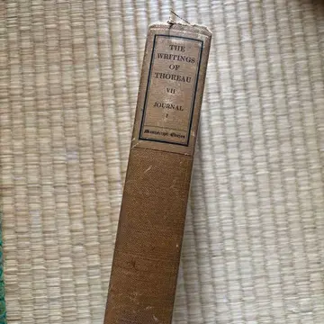 소로의 글 VII 저널