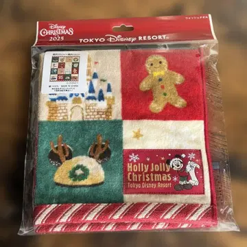 도쿄 디즈니 리조트 크리스마스 워시 타월 2025