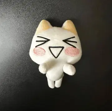 초레어 도코데모 잇쇼 이노우에 토로 단종