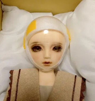 SDM 코디네이트 모델 f-20 20번