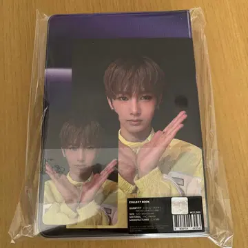 보이플라 콜렉트북 안신