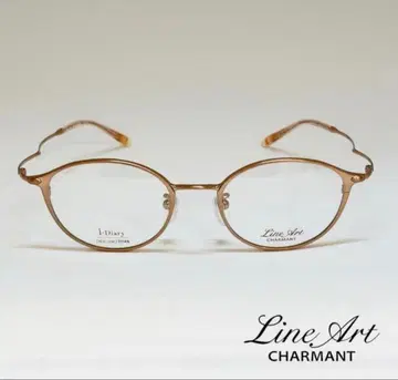 라인 아트 아이 다이어리 솔로 XL11314-RG-48 새상품