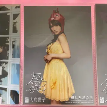 즉시 구매 오시마 유코 브로마이드 놓친 물고기들 AKB48