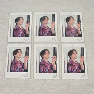 시마 폴라로이드