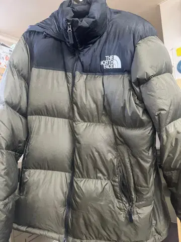 THE NORTH FACE 다운 자켓