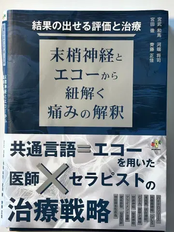 절단된 미정신경과 에코로 풀어보는 통증의 해석