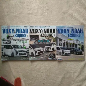 RV 드레스업 가이드 시리즈 Voxy & Noah & Esquire