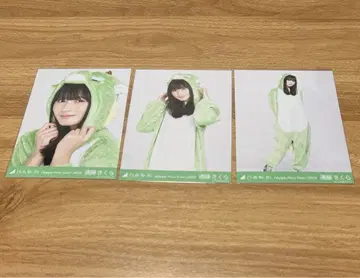 노기자카46 엔도 사쿠라 브로마이드 십이지  2024