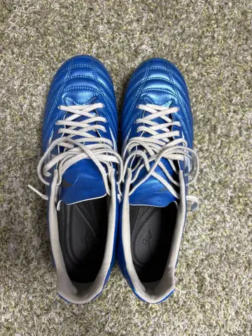 미즈노 모나르시다 네오 파랑 1회 천연 잔디 사용