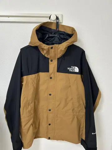 THE NORTH FACE 마운틴 후드티 유틸리티 브라운