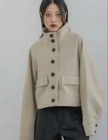 최종 가격 인하 JEANASIS 스탠드 카라 숏코트 가을/겨울