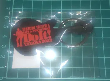 야자와 에이요시 키링 11/9 도쿄 돔 Do it