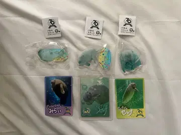 도바 수족관 코레카 패널 스탠드 세레나 세트