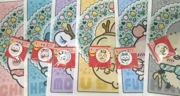 치이카와 클리어 파일 캔 거울 전종 세트