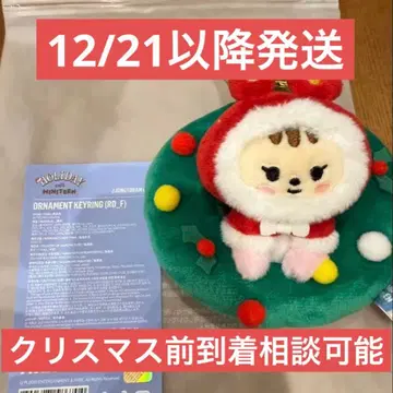 SEVENTEEN MINITEEN POPUP 정한