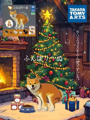 굼벵이~누 (1종) 시바견 노멀