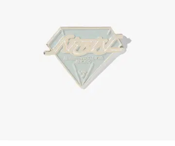 SEVENTEEN RIGHT HERE 핀 배지 (핀즈) 도쿄