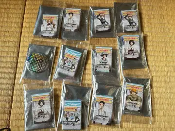 슈타인즈 게이트 Steins Gate 메탈 우파 홀로 캔뱃지 세트