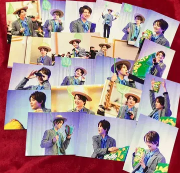 세리카 토아 사진 세트 5 군도