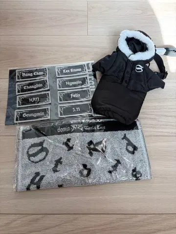 STRAYKIDS 월드 투어 굿즈 세트