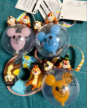 구미 캔디 케이스 칩과 데일