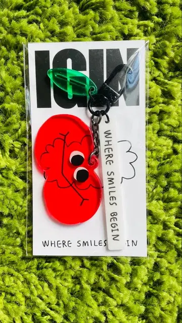 신상 IGIN 키링 사과 POPUP 크리스마스 BTS 진