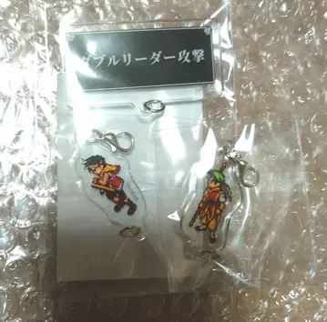 더블 리더 공격 주인공 보짱 환상수호전 참 배지 환수