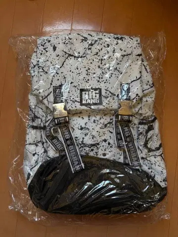 BIGBANG 공식 백팩 럭색 CONCERT 0.TO.10