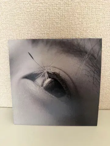 카네코 아야노 축제 혼자서 CD