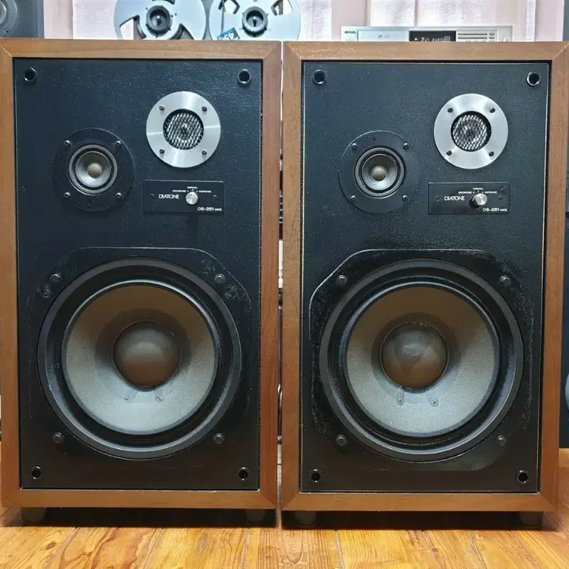 다이아톤 10인치 3웨이 스피커 diatone DS 251 MKII