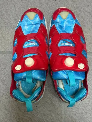 리복 펌프 퓨리 Shoes Gallery