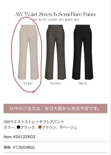 QUNG AW 허리 스트레치 세미 플레어 팬츠