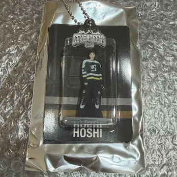 SEVENTEEN HOME 아크릴 키링 호시