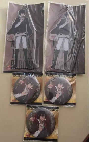 가정교사 히트맨 REBORN XANXUS 아크릴 키링 캔뱃지