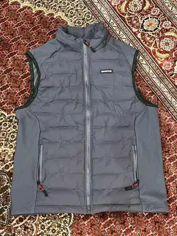 BRIEFING 그레이 다운 베스트