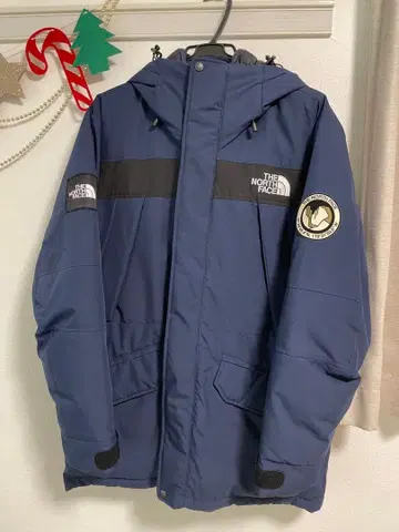 THE NORTH FACE 네이비 다운 자켓